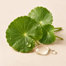 Centella asiática regenera y aclara