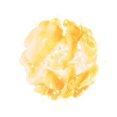Probiótico SNZ-1969 Bacillus coagulans para el equilibrio de la flora